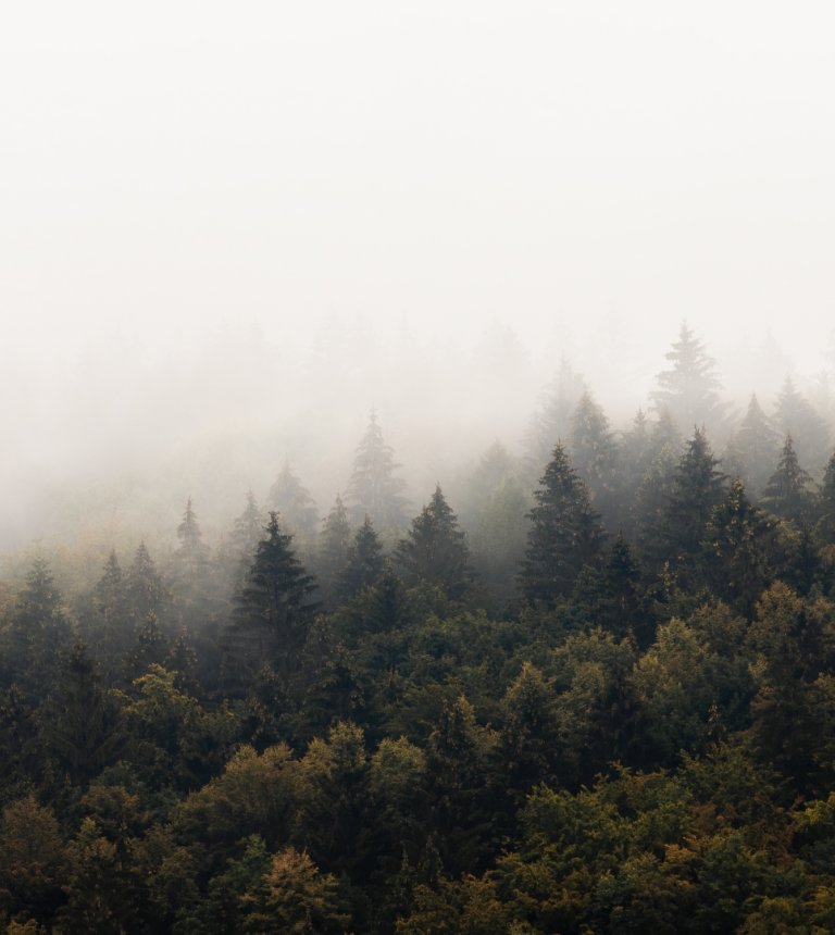 Karczówka – góra i klasztor