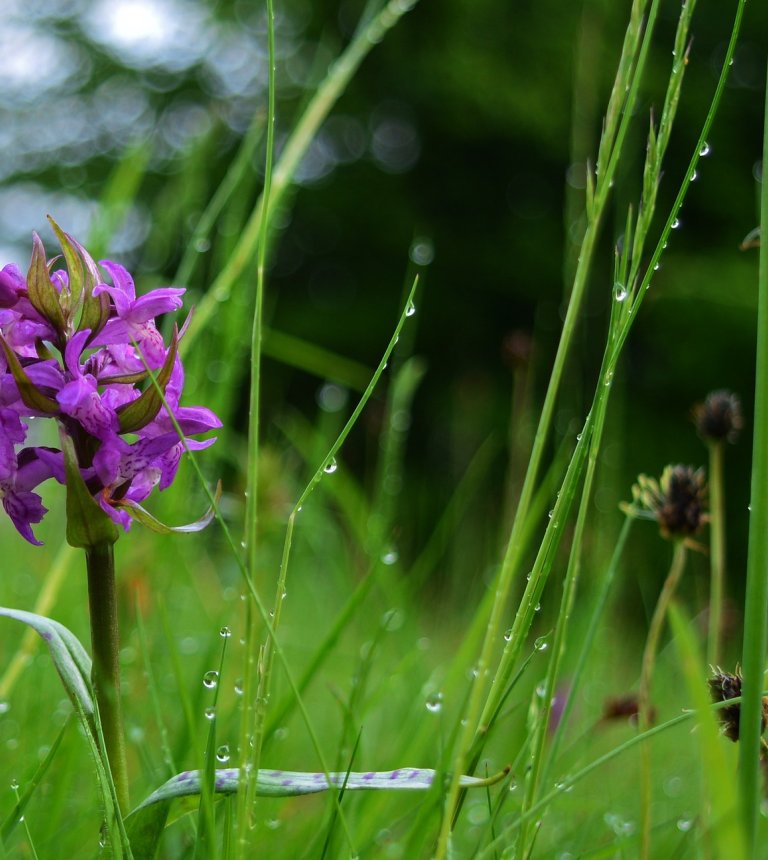 Rezerwat Przyrody Kadzielnia