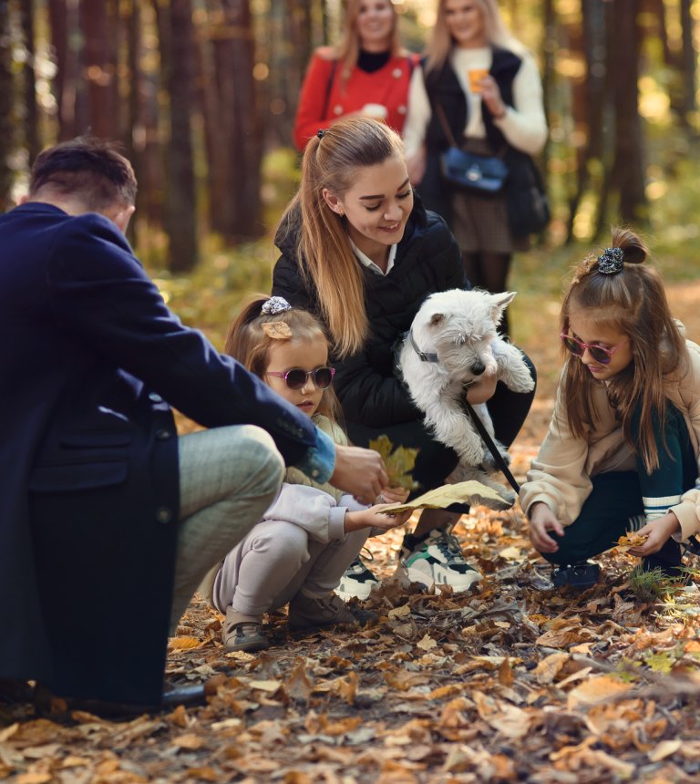 Świętokrzyska jesień! Ucieknij od zgiełku i naładuj baterie w Binkowski Resort!