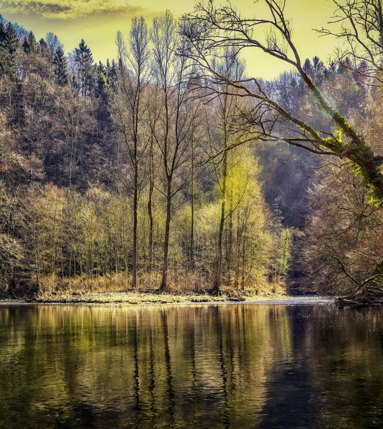 Park Miejski im. Stanisława Staszica