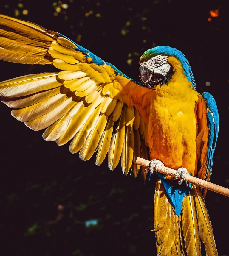 Park Rozrywki i Miniatur – Sabat Krajno