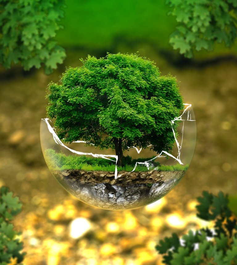 Centrum Nauki Leonardo Da Vinci w Podzamczu